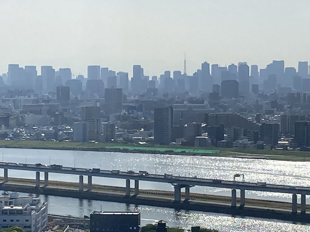 船堀タワーから見た東京タワー