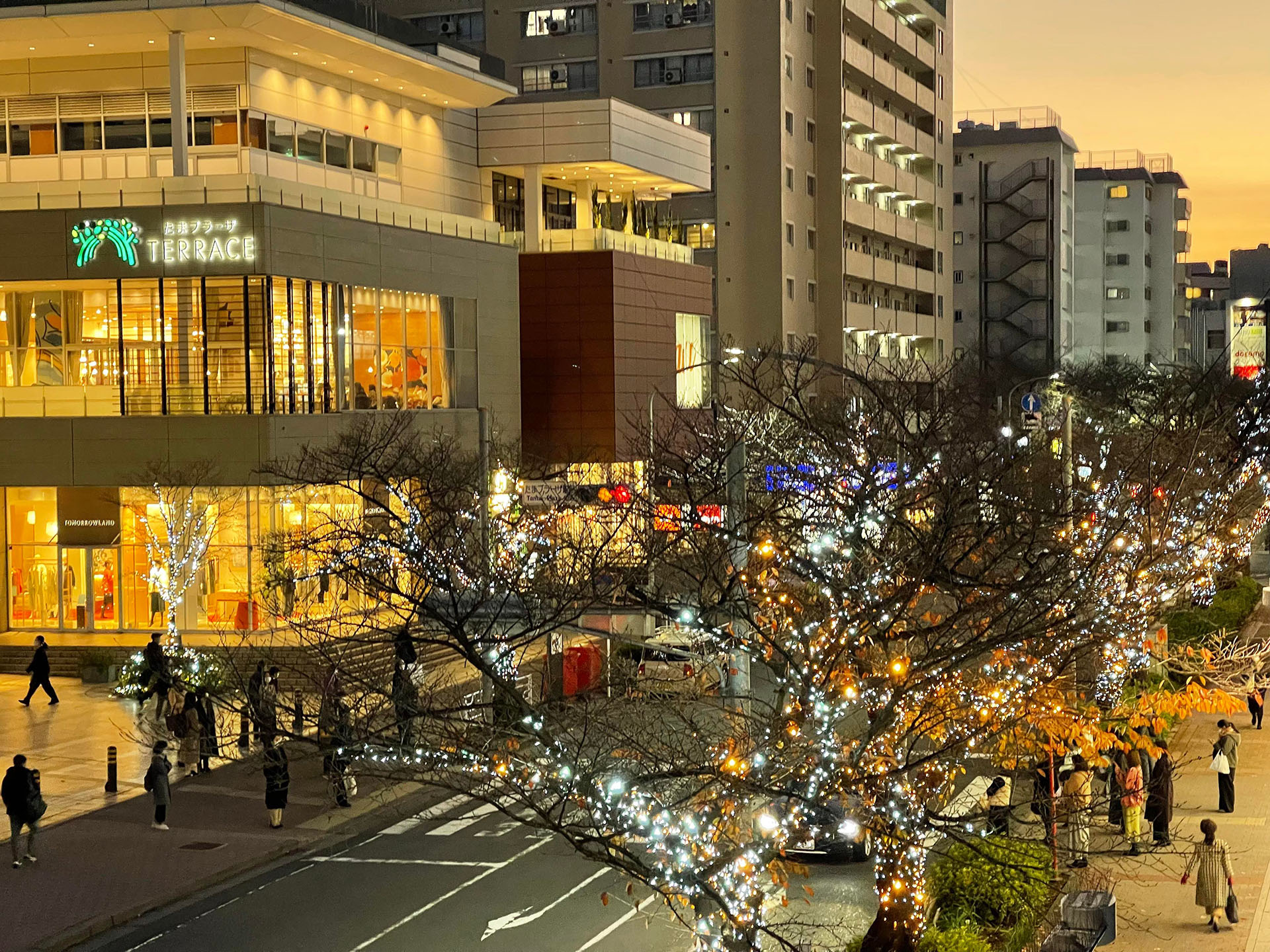 【随時更新】神奈川県内の駅前に輝くイルミネーション21-22