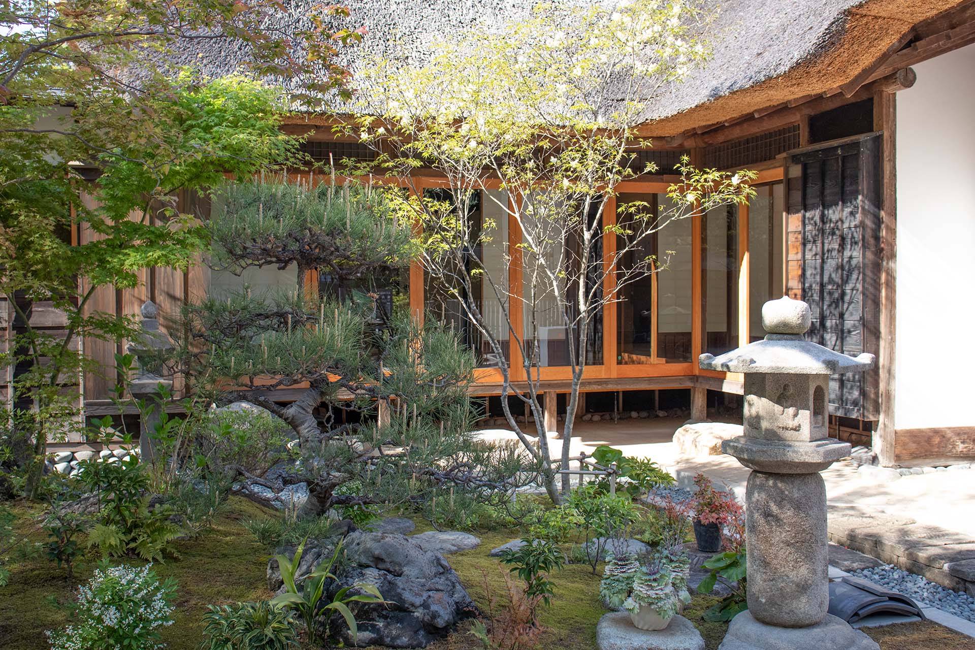 旧円通寺客殿横の日本庭園